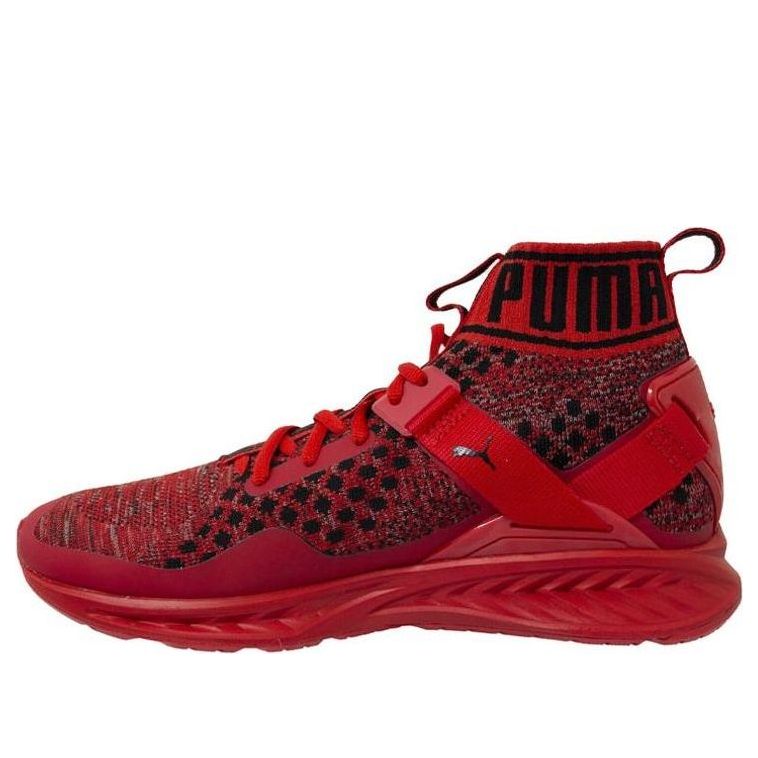 PUMA Ignite EvoKnit 'Red' 189697-10