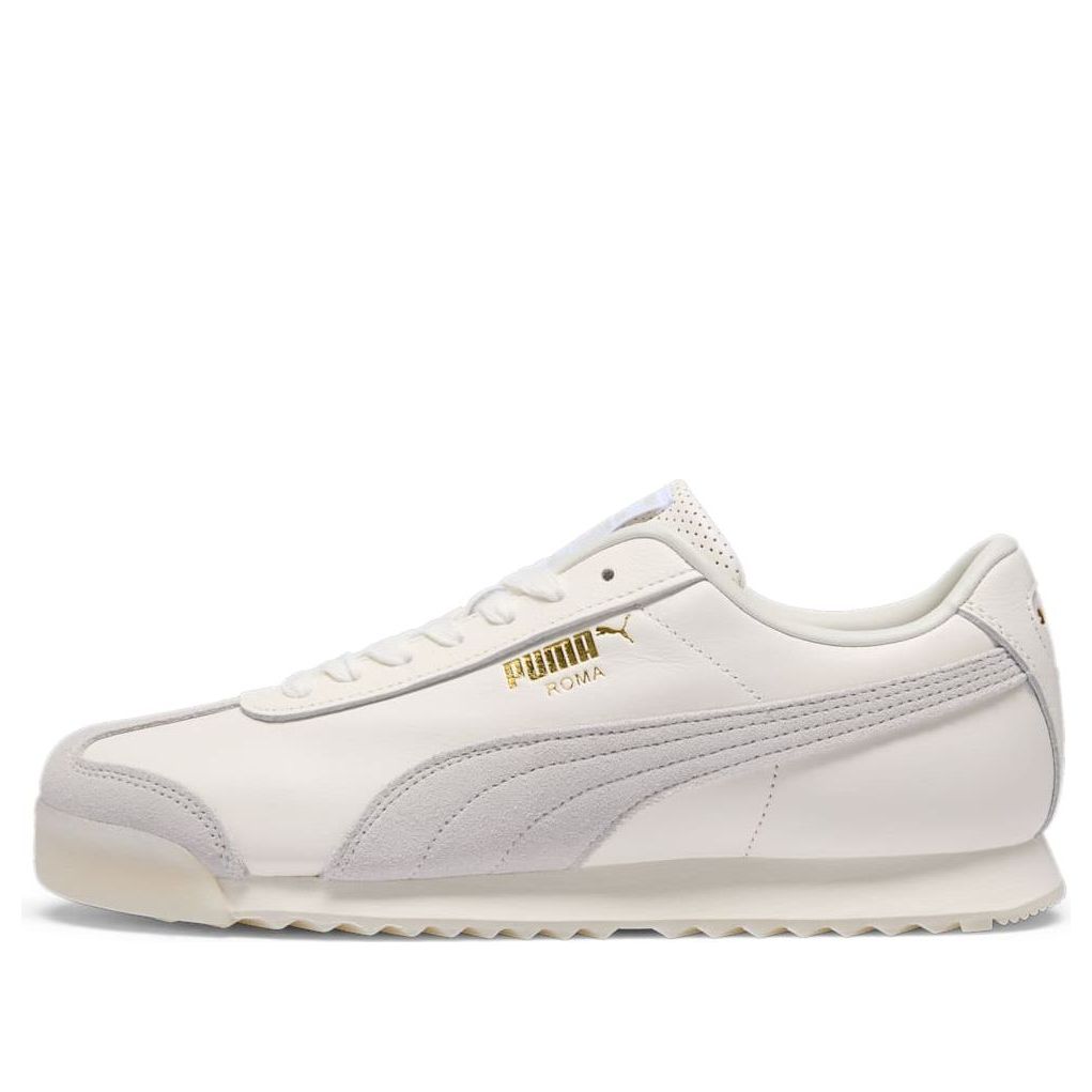 PUMA Roma 'Warm White Sedate Grey' 398572-01