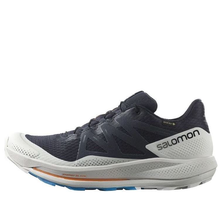 Salomon Pulsar Trail GTX 'Night Sky' 417499 / L41749900