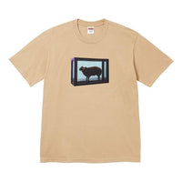 Supreme x Damien Hirst T-Shirt 'Khaki' SS25T5-KHAKI