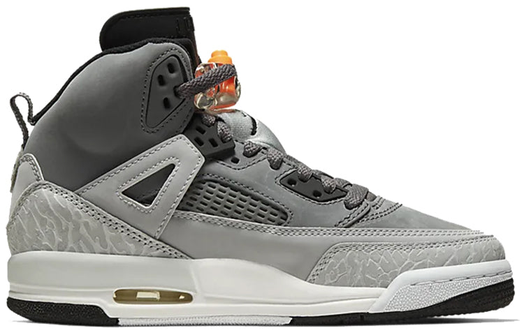 (GS) Air Jordan Spizike 'Cool Grey' 317321-008