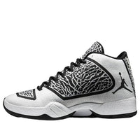 Air Jordan 29 'Cement' 695515-070