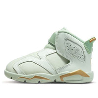 (TD) Air Jordan 6 Retro LTL Flex GC DN1769-073