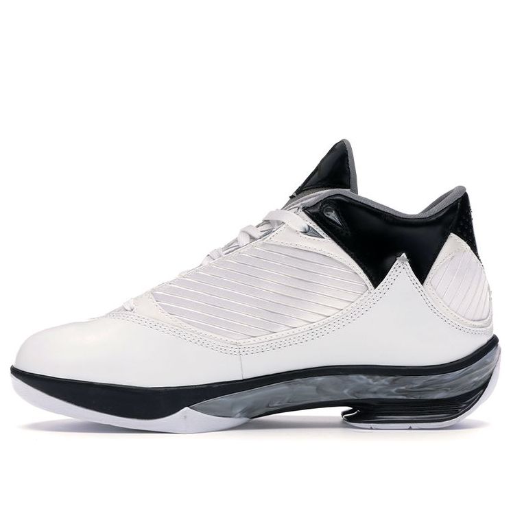 Air Jordan 2009 'White Metallic Silver' 343084-161